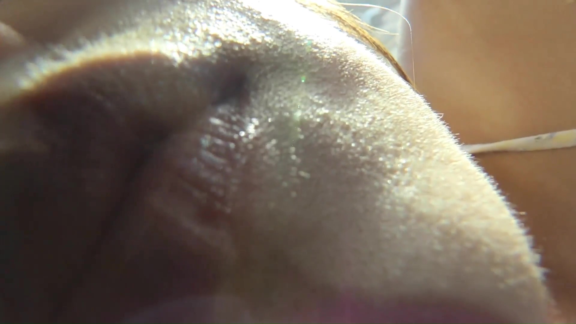 甘いふくらみ 柳瀬早紀のカメラキス画像